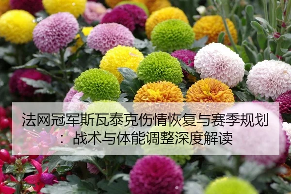 fa-wang-guan-jun-si-wa-tai-ke-shang-qing-hui-fu-yu-sai-ji-gui-hua-zhan-shu-yu-ti-neng-tiao-zheng-shen-du-jie-du-2-849.jpg